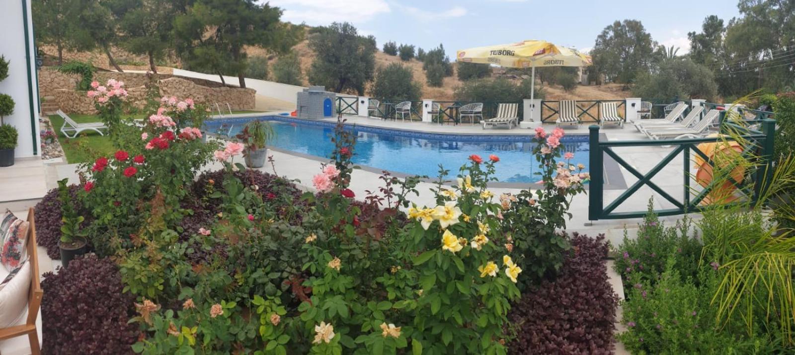 Dervise Mehmet Guest House Lefka  Extérieur photo